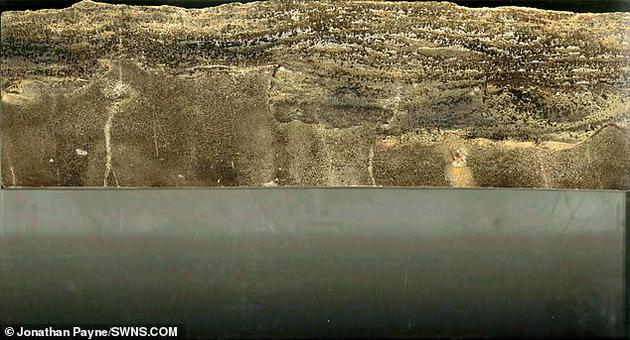 �ڶ��B�oĩ����������ȱ�����ߜ��{���������߀���ж����W���|�����˺��������^���ƌW�Ҍ���߀�]�ж�Փ��