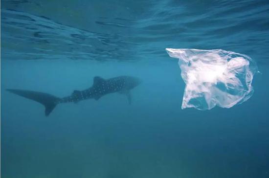 https��//www.newsdeeply.com/oceans/articles/2017/10/09/report-microplastic-can-penetrate-fishs-brains-altering-behavior