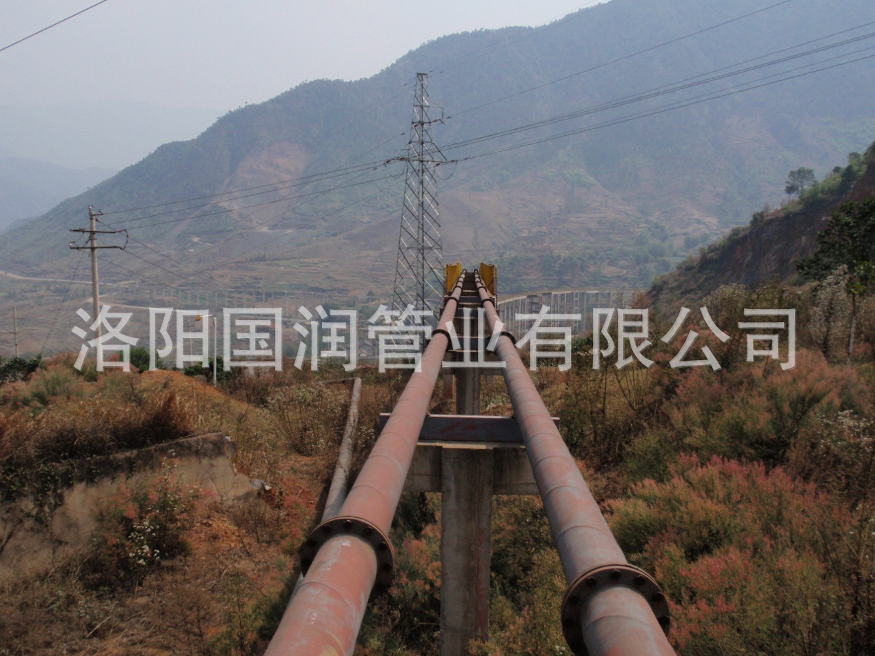 �����~�I(y��)���F��˾β�V�ܵ��Ŀ