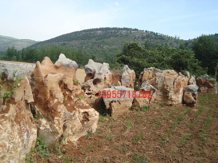 ̫��ʯ�_�ɬF�� ��̫��ʯ���l