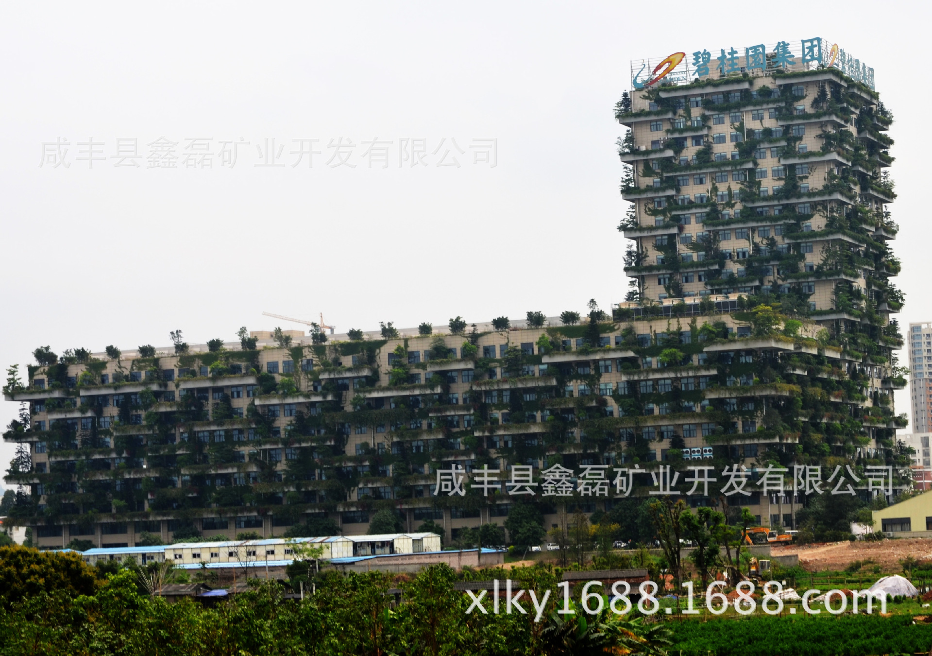 �����еVɽ�� �Ļ����� ���� ˇ�g�b�� �������S ��Ʒʯ��