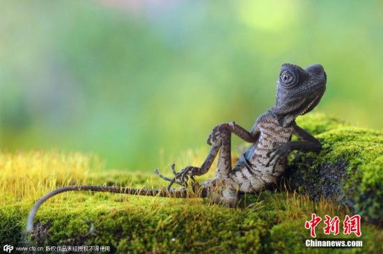 �Y�ψD��������