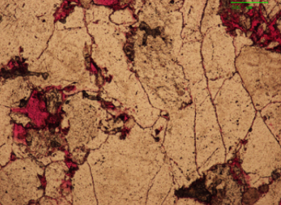 ꎘO�l(f��)�ⰸ���D